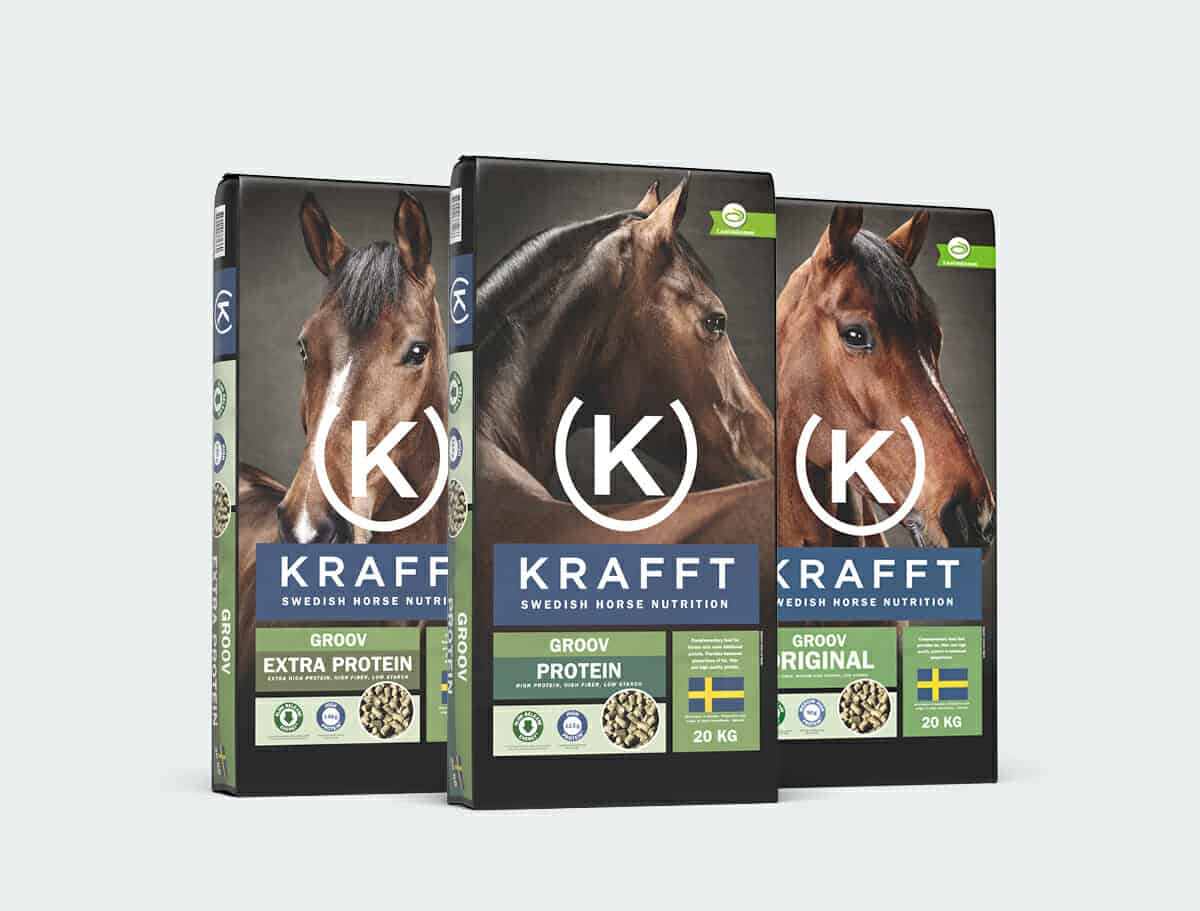 KRAFFT Because All Horses Are Individuals